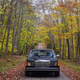 Illustration for article titled Drive and a walk
